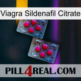 Viagra Sildenafil Citrate 14